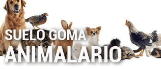 Suelos Goma Animalario