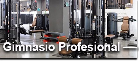 Suelos para gimnasios Profesionales Suelos para gimnasios Profesionales