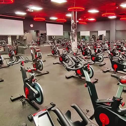 Suelo de Cardio & Fitnnes perfectos para tu hogar o gimnasio Suelo de Cardio & Fitnnes perfectos para tu hogar o gimnasio