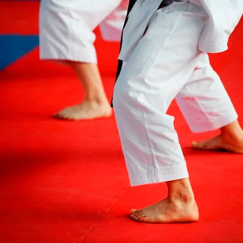 Tatami de suelo antideslizante y resistente al desgaste.